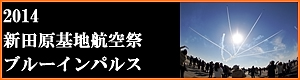 2014　新田原基地航空祭　ブルーインパルス